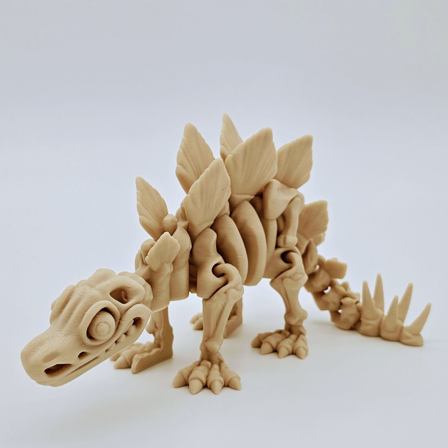 Stegosaurus Flexi